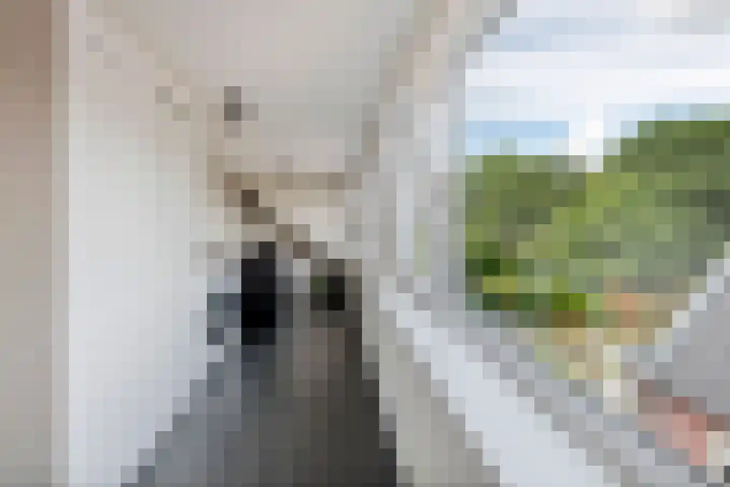 Donjon 40 Dreumel thumbnail 38