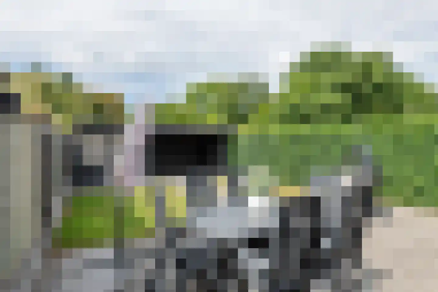 Donjon 40 Dreumel thumbnail 4