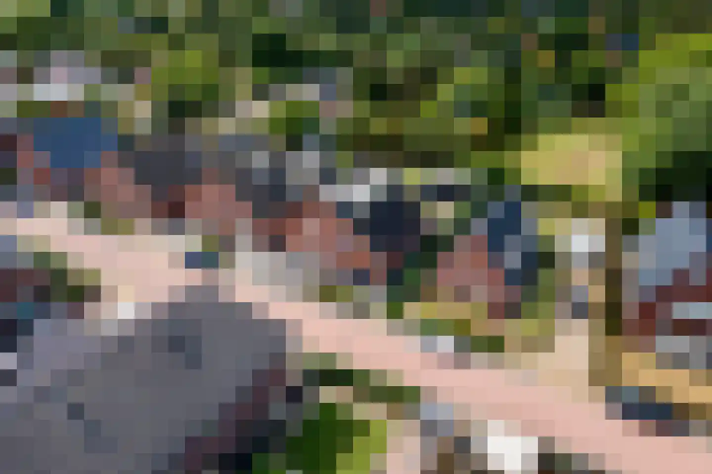 Donjon 40 Dreumel thumbnail 46