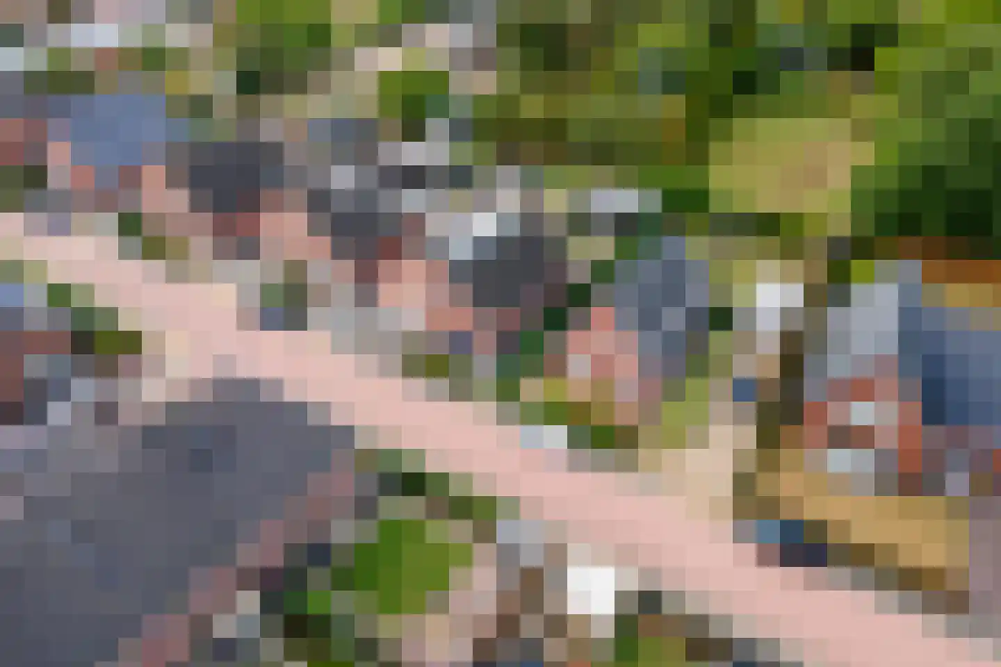 Donjon 40 Dreumel thumbnail 47