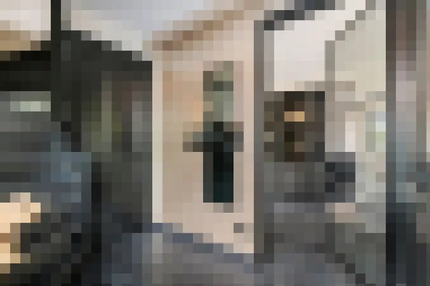 Donjon 40 Dreumel thumbnail 5