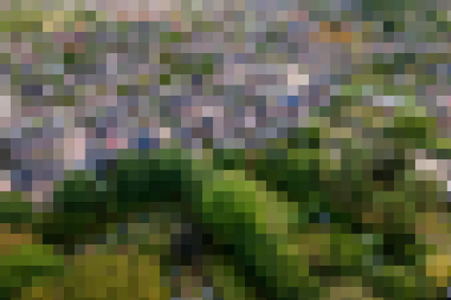 Donjon 40 Dreumel thumbnail 50