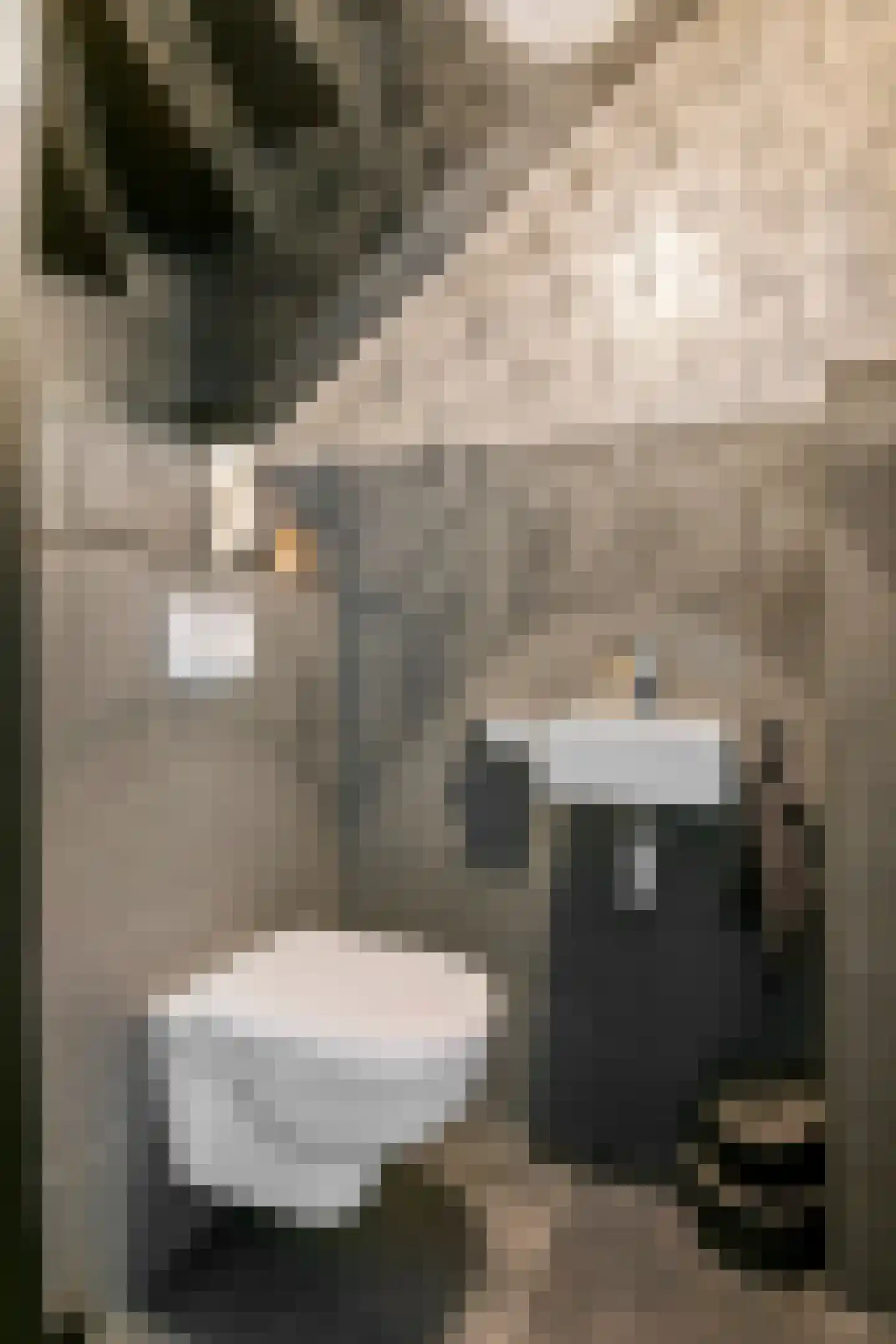 Donjon 40 Dreumel thumbnail 6