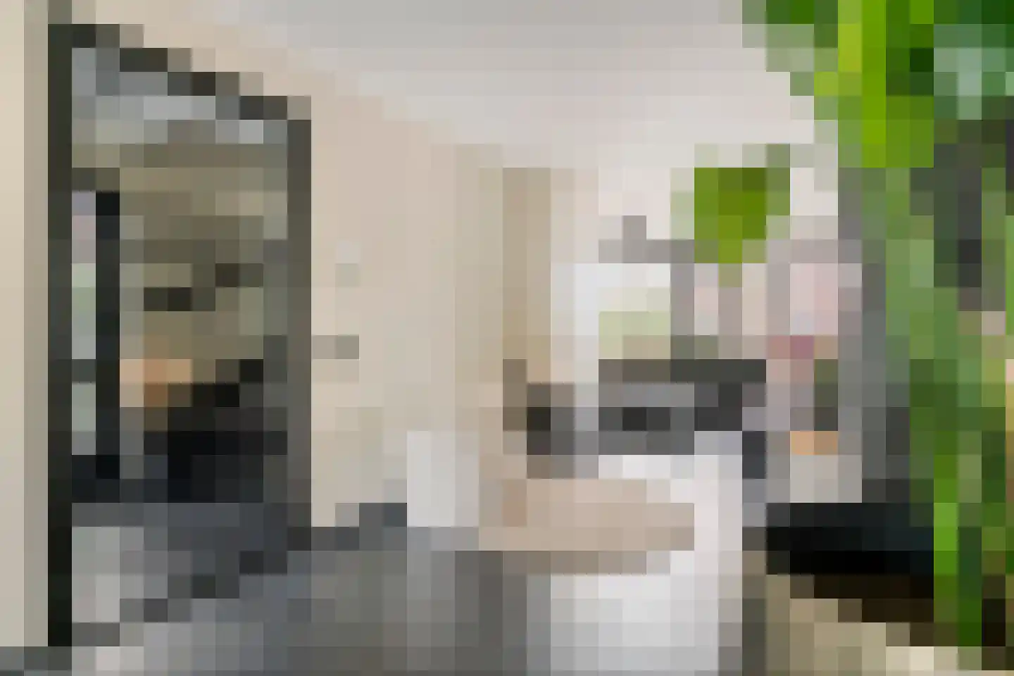 Donjon 40 Dreumel thumbnail 7