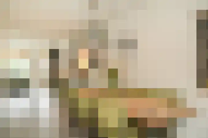 Donjon 48 Dreumel thumbnail 12