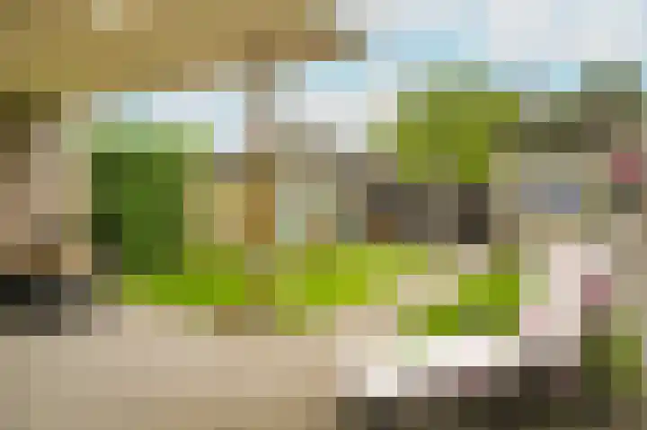 Donjon 48 Dreumel thumbnail 29