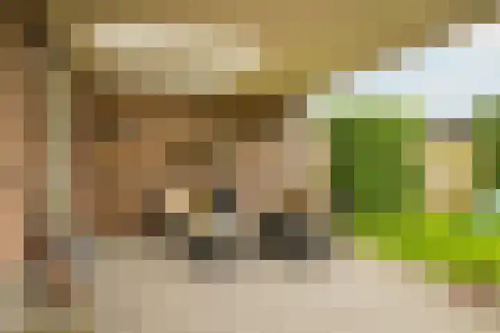 Donjon 48 Dreumel thumbnail 30