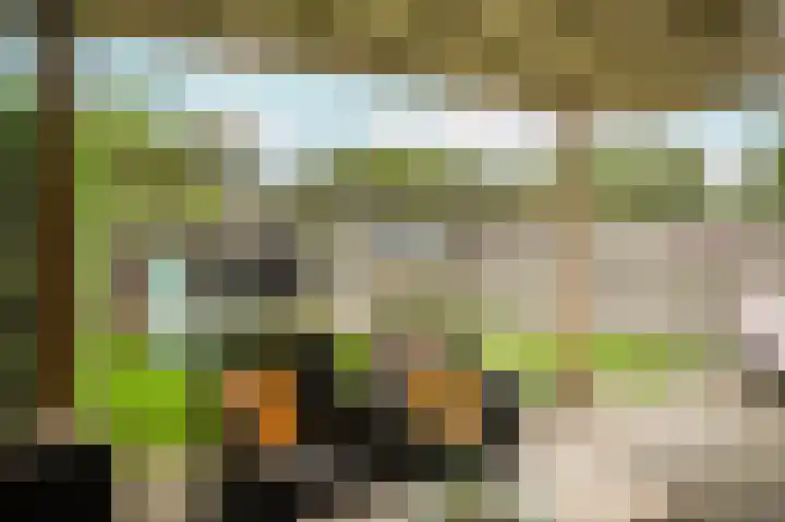 Donjon 48 Dreumel thumbnail 31