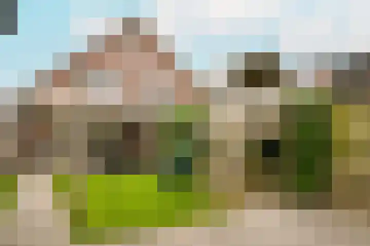Donjon 48 Dreumel thumbnail 36