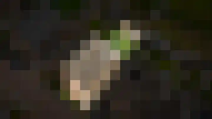 Donjon 48 Dreumel thumbnail 40