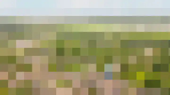 Donjon 48 Dreumel thumbnail 42