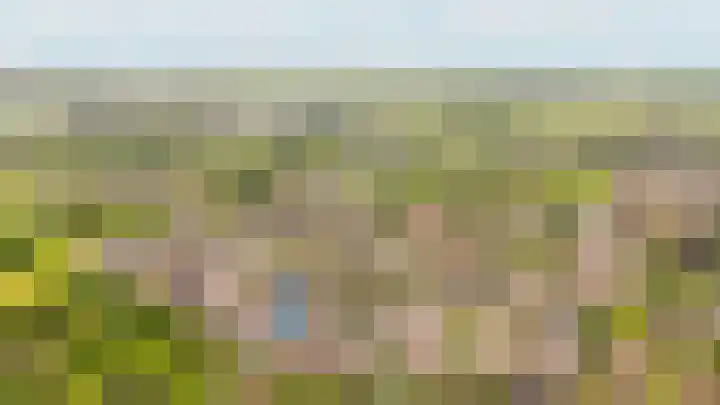 Donjon 48 Dreumel thumbnail 43
