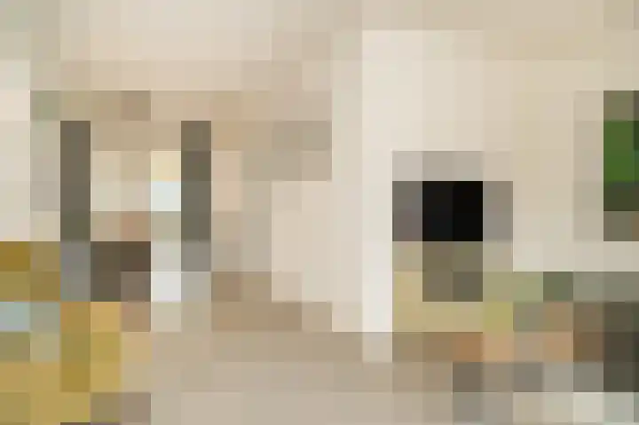 Donjon 48 Dreumel thumbnail 7
