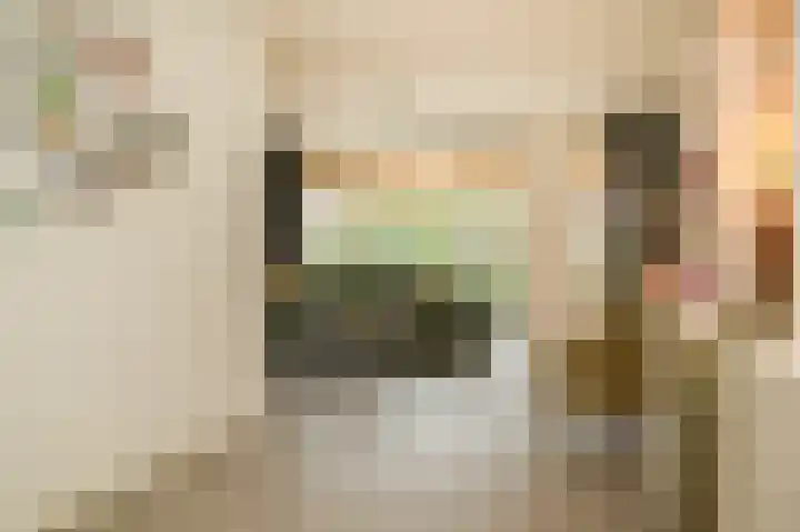 Donjon 48 Dreumel thumbnail 8