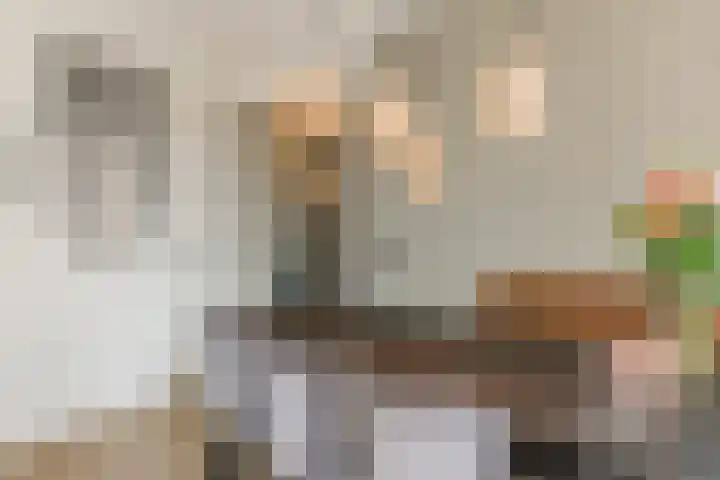 Donjon 48 Geldrop thumbnail 16