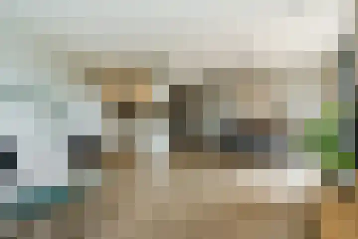Donjon 48 Geldrop thumbnail 17
