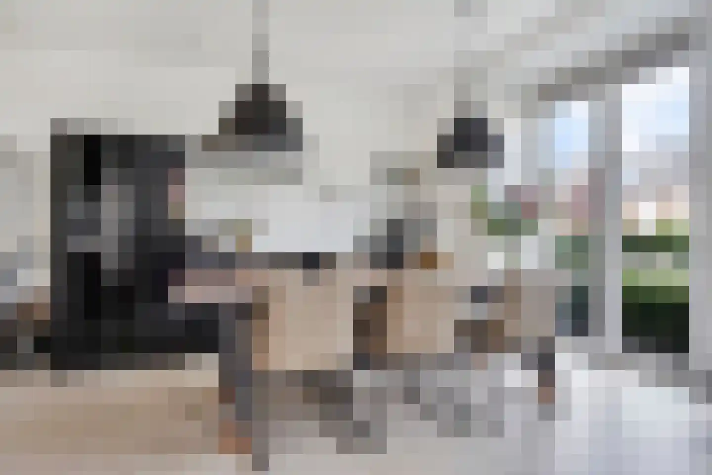 Donjon 5 Drunen thumbnail 12