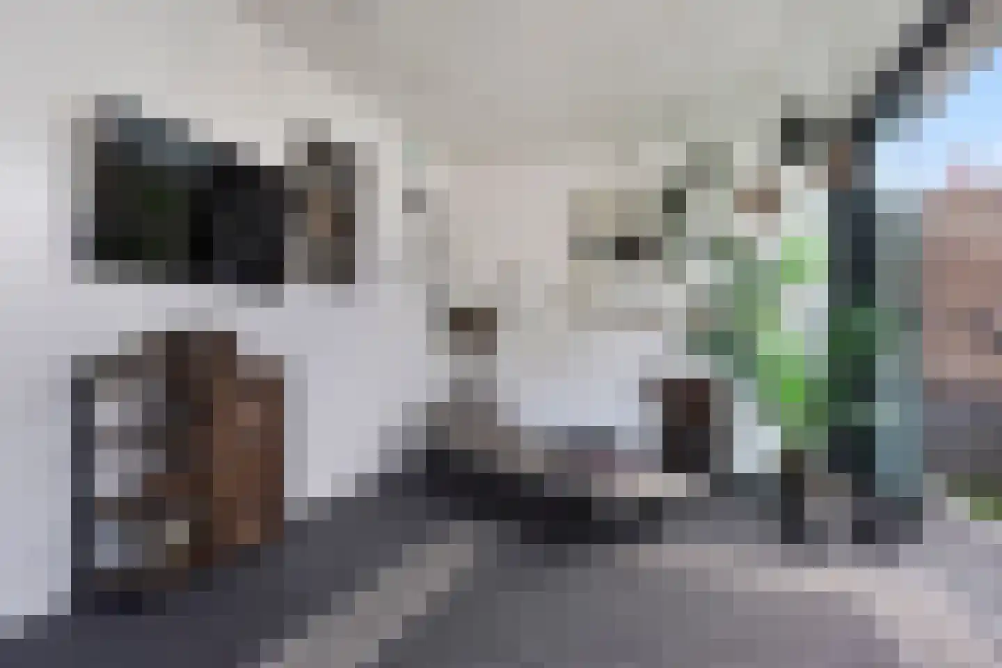 Donjon 5 Drunen thumbnail 24