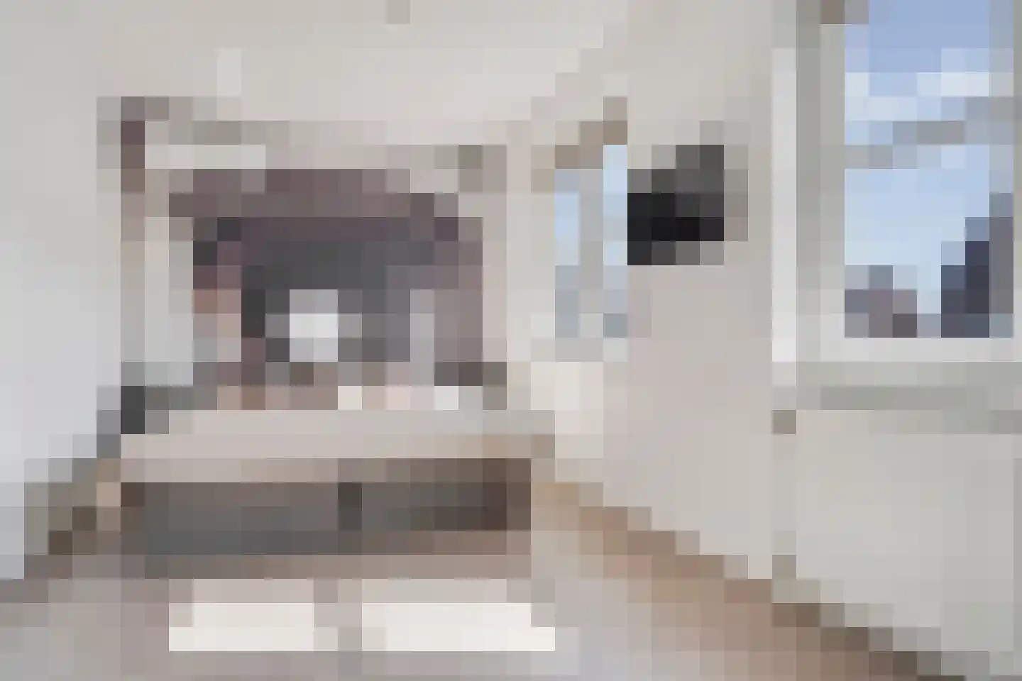 Donjon 5 Drunen thumbnail 27