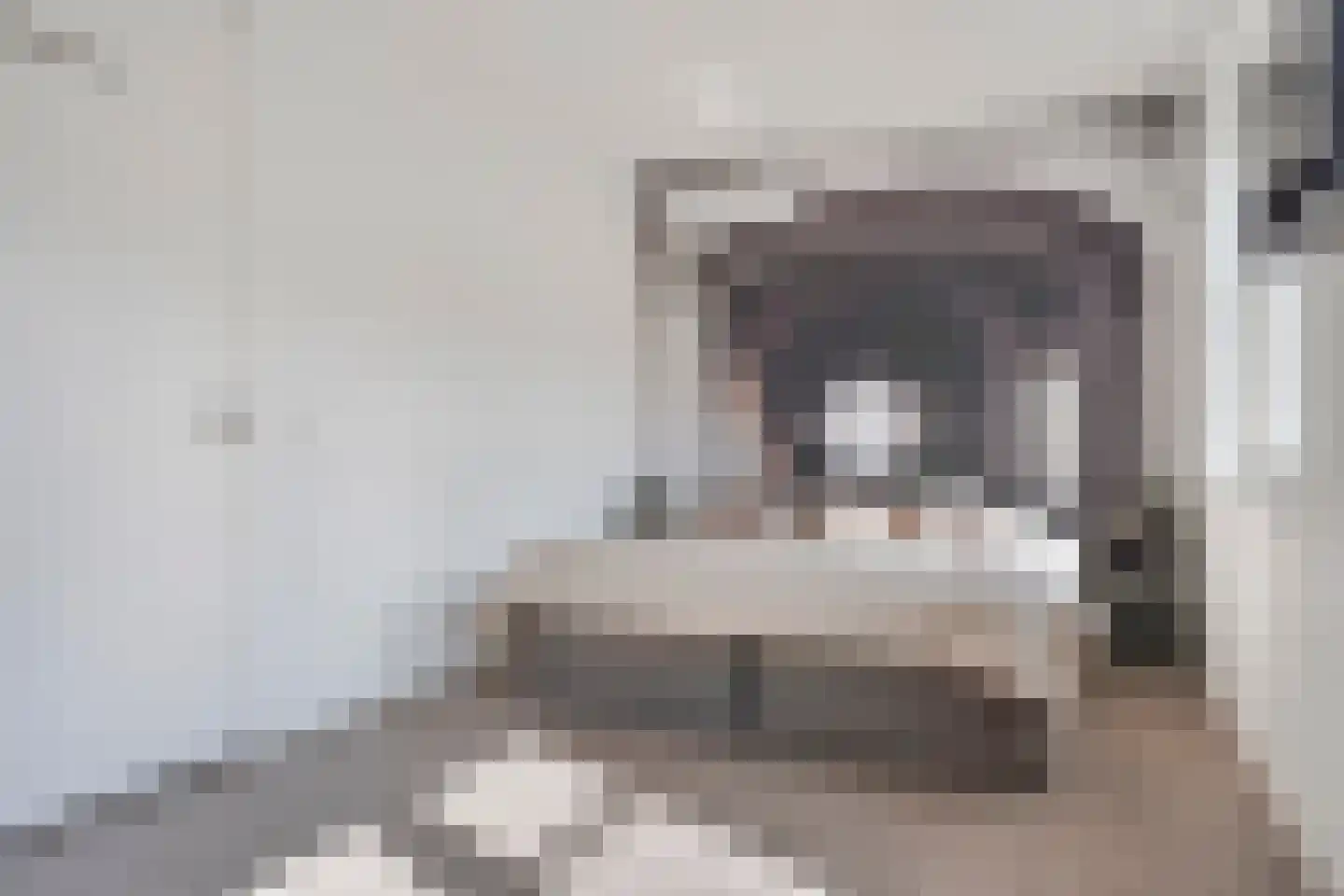 Donjon 5 Drunen thumbnail 29
