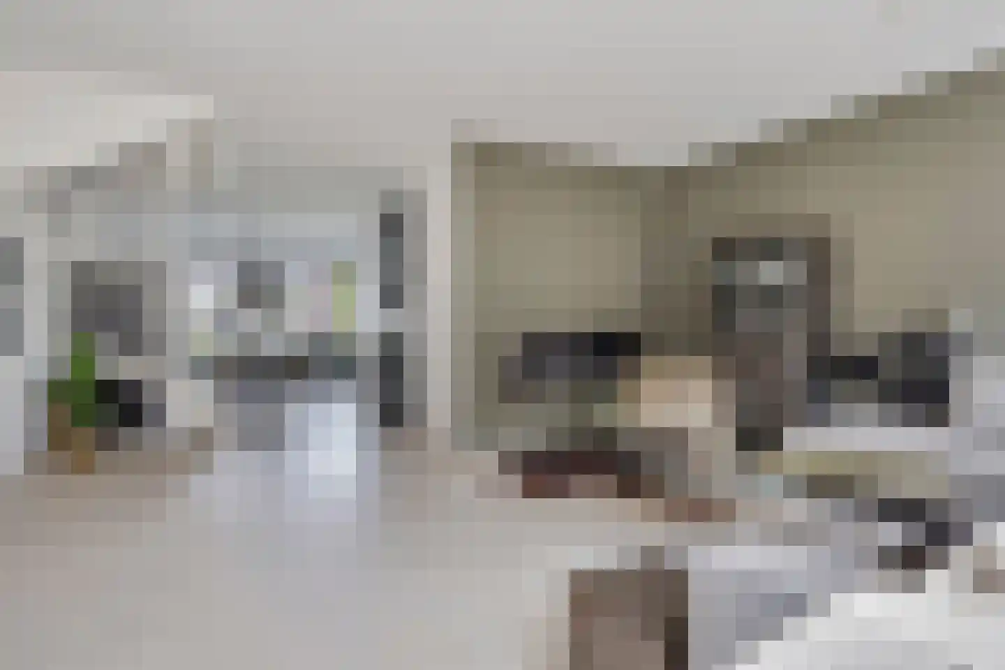 Donjon 5 Drunen thumbnail 4