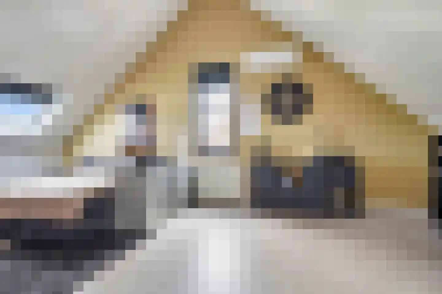 Donjon 5 Drunen thumbnail 40