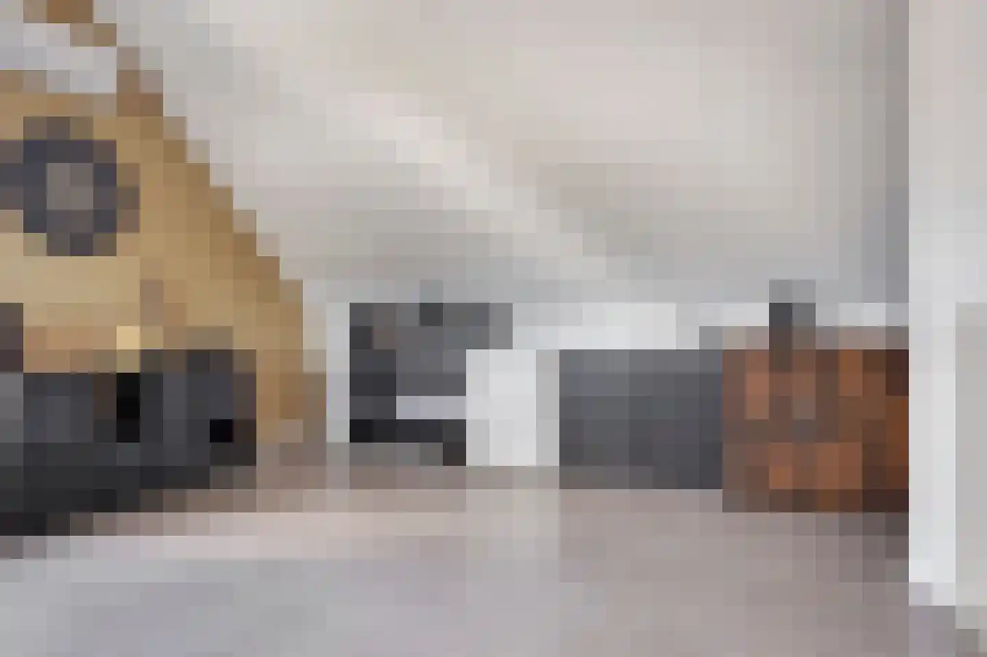 Donjon 5 Drunen thumbnail 43