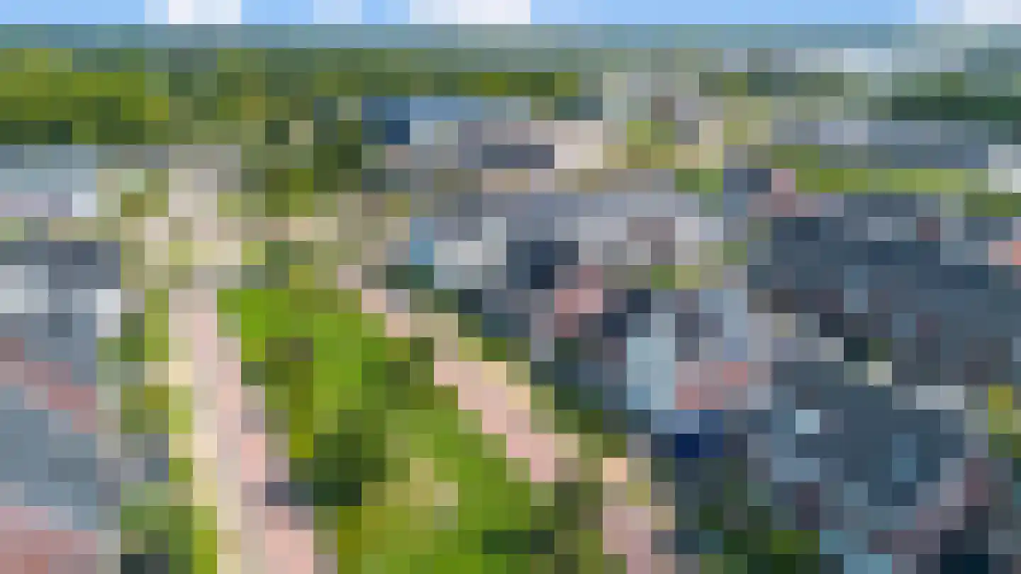 Donjon 5 Drunen thumbnail 51