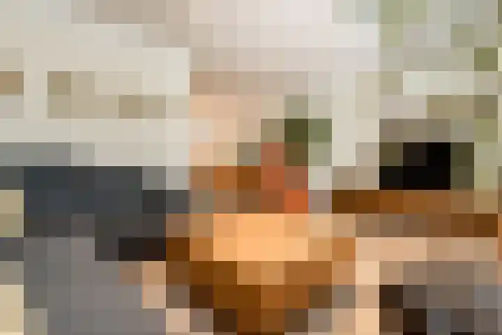 Donjon 5 Waardenburg thumbnail 11
