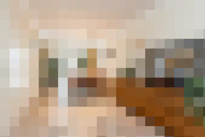 Donjon 5 Waardenburg thumbnail 13