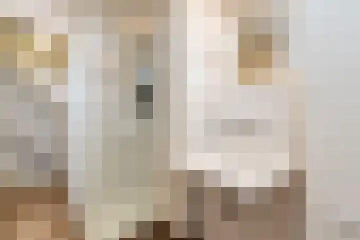 Donjon 5 Waardenburg thumbnail 30