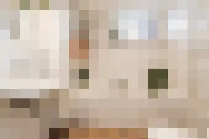 Donjon 5 Waardenburg thumbnail 5