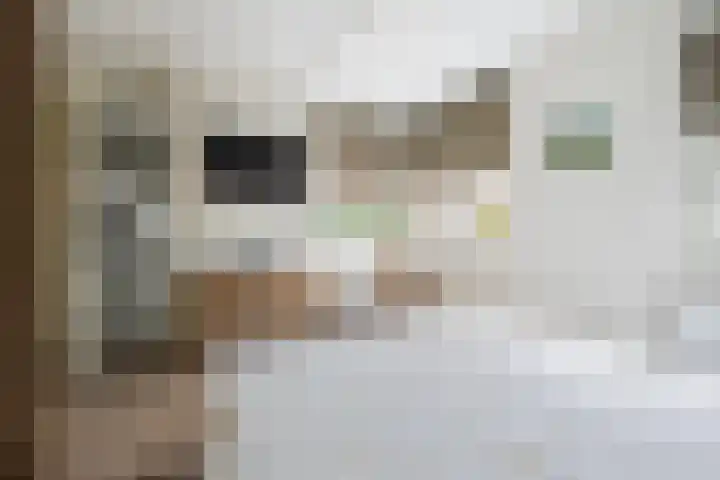 Donjon 80 Dreumel thumbnail 17