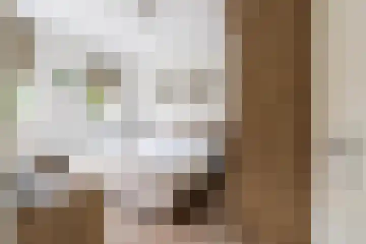 Donjon 80 Dreumel thumbnail 18