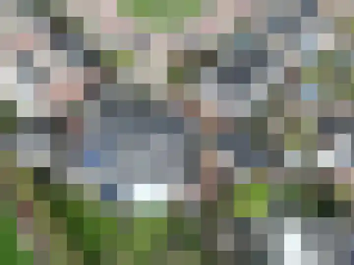 Donjon 80 Dreumel thumbnail 30
