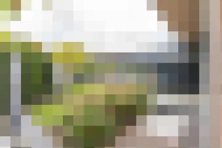 Donjon 80 Dreumel thumbnail 35