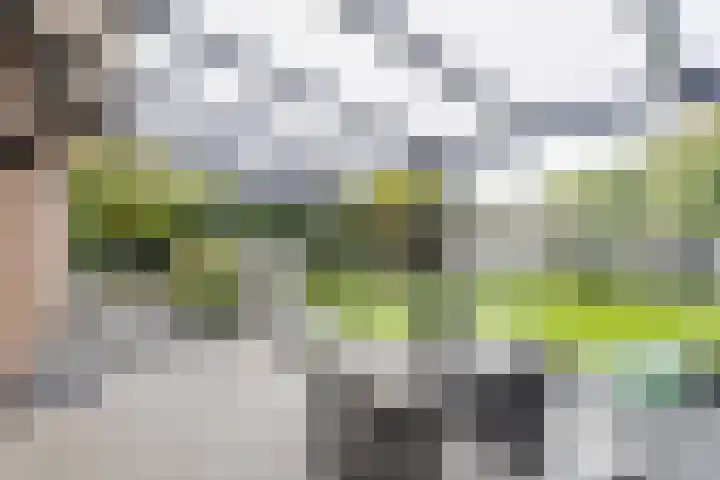 Donjon 80 Dreumel thumbnail 4