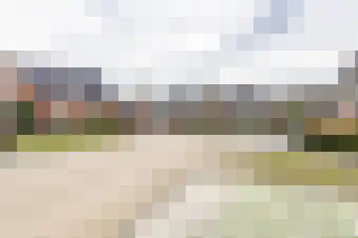 Donjon 80 Dreumel thumbnail 43