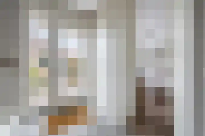 Donjon 80 Dreumel thumbnail 5
