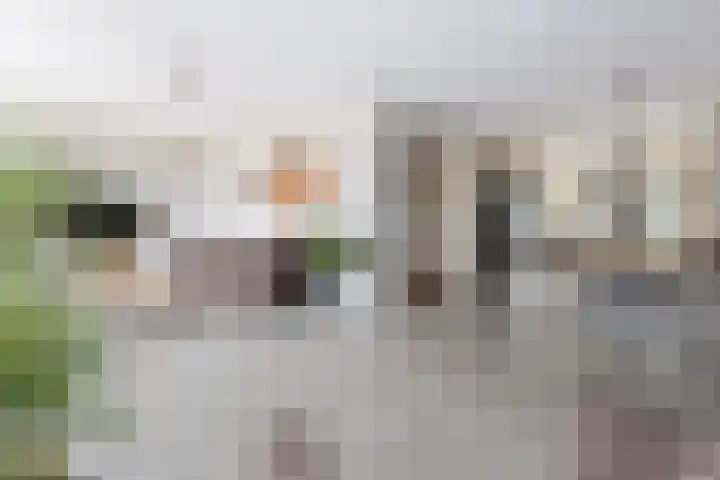 Donjon 80 Dreumel thumbnail 7