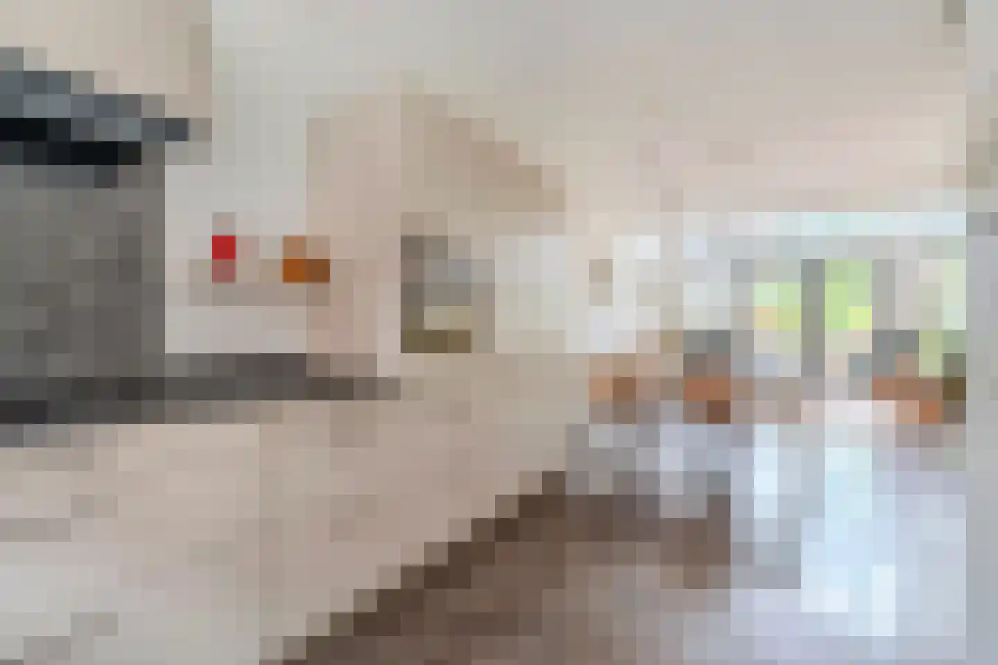 Donjon 98 Geldrop thumbnail 19