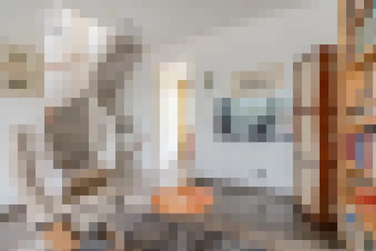 Donjon 98 Geldrop thumbnail 22