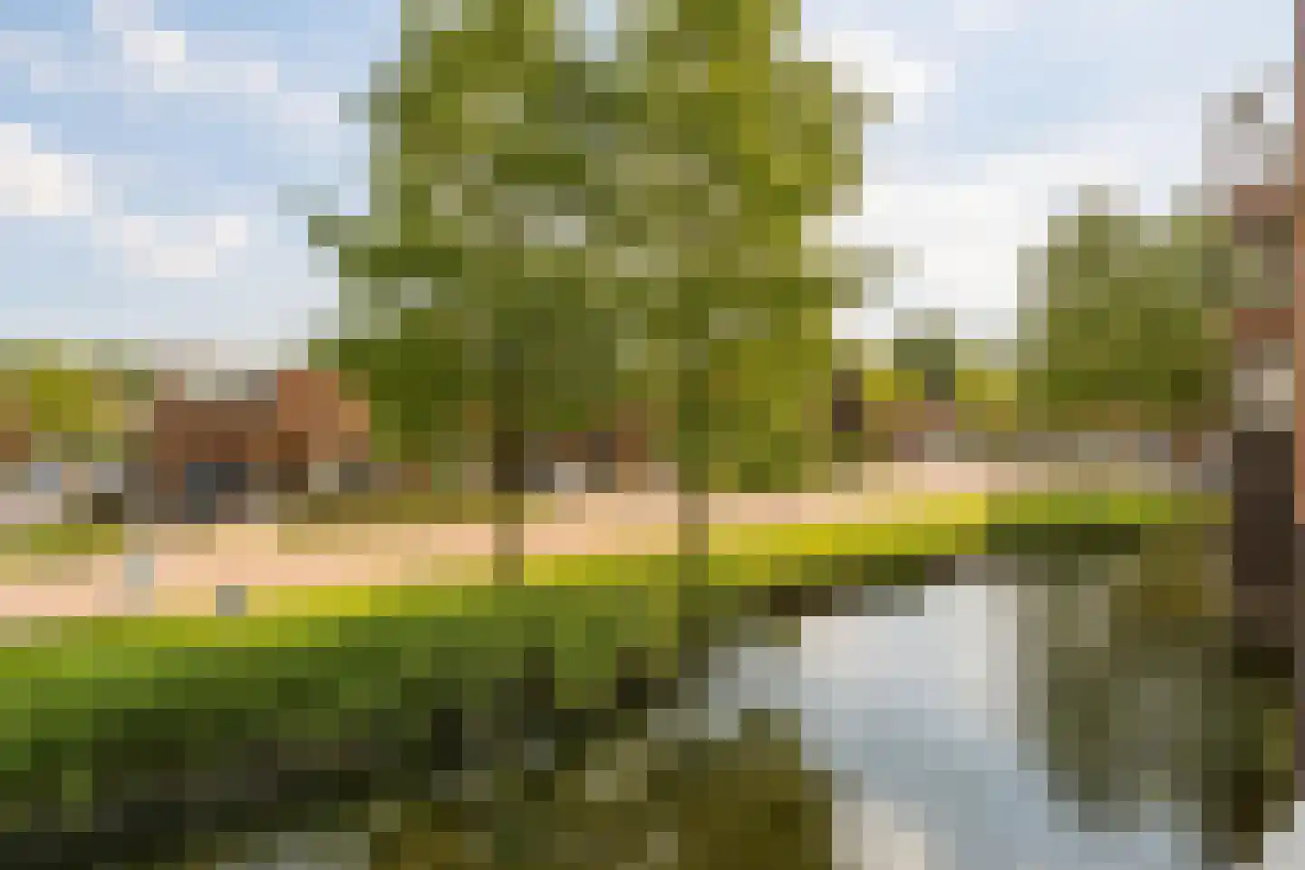 Donjon 98 Geldrop thumbnail 23