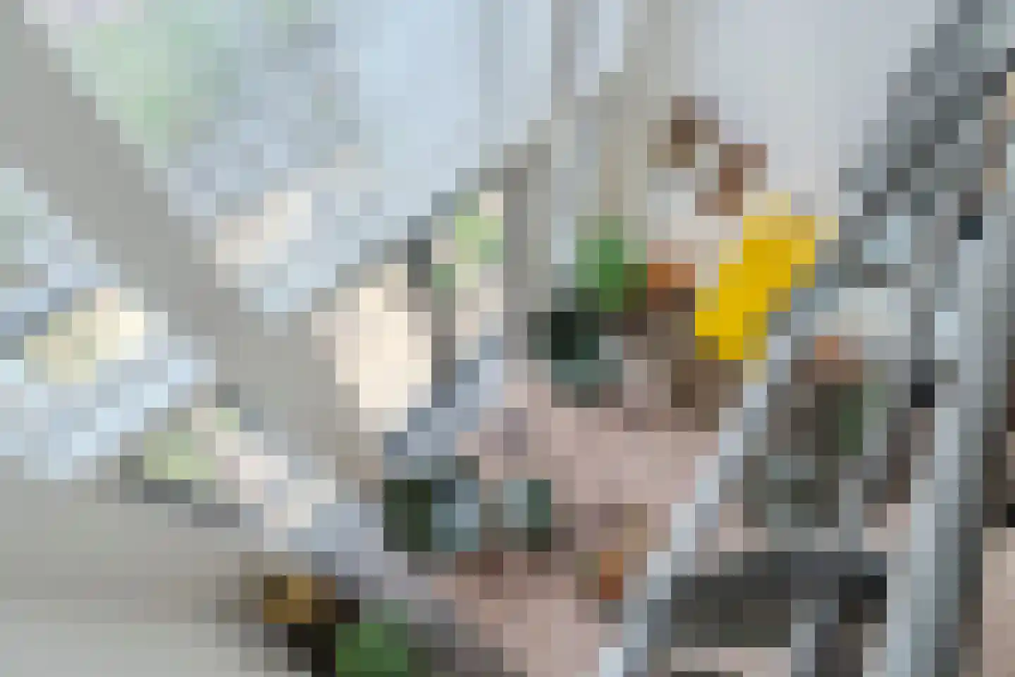 Donjon 98 Geldrop thumbnail 24