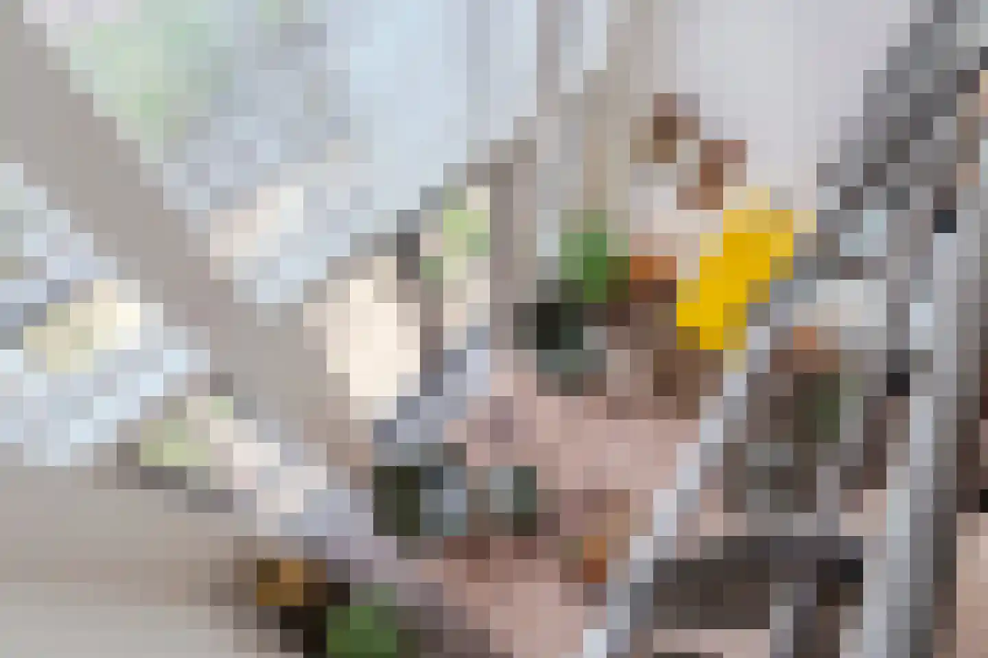 Donjon 98 Geldrop thumbnail 28