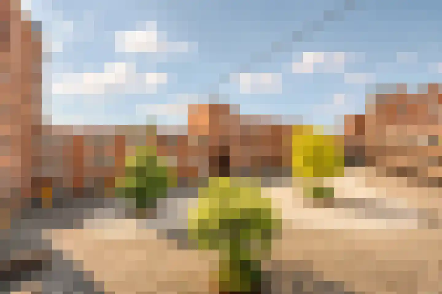 Donjon 98 Geldrop foto 3