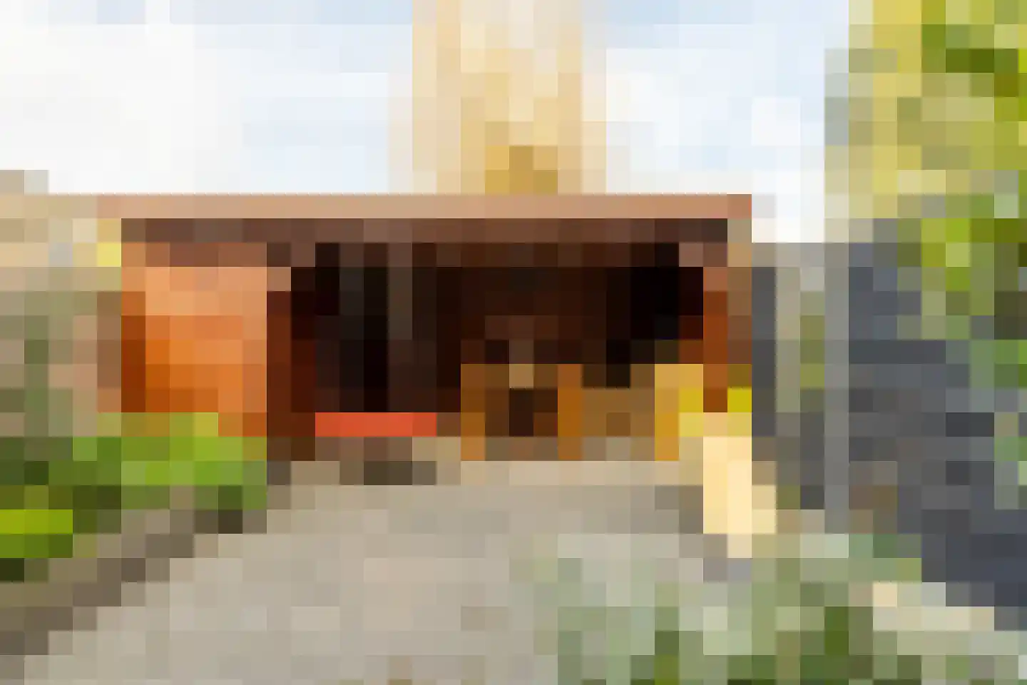 Donjonweg 56 Oostvoorne thumbnail 34