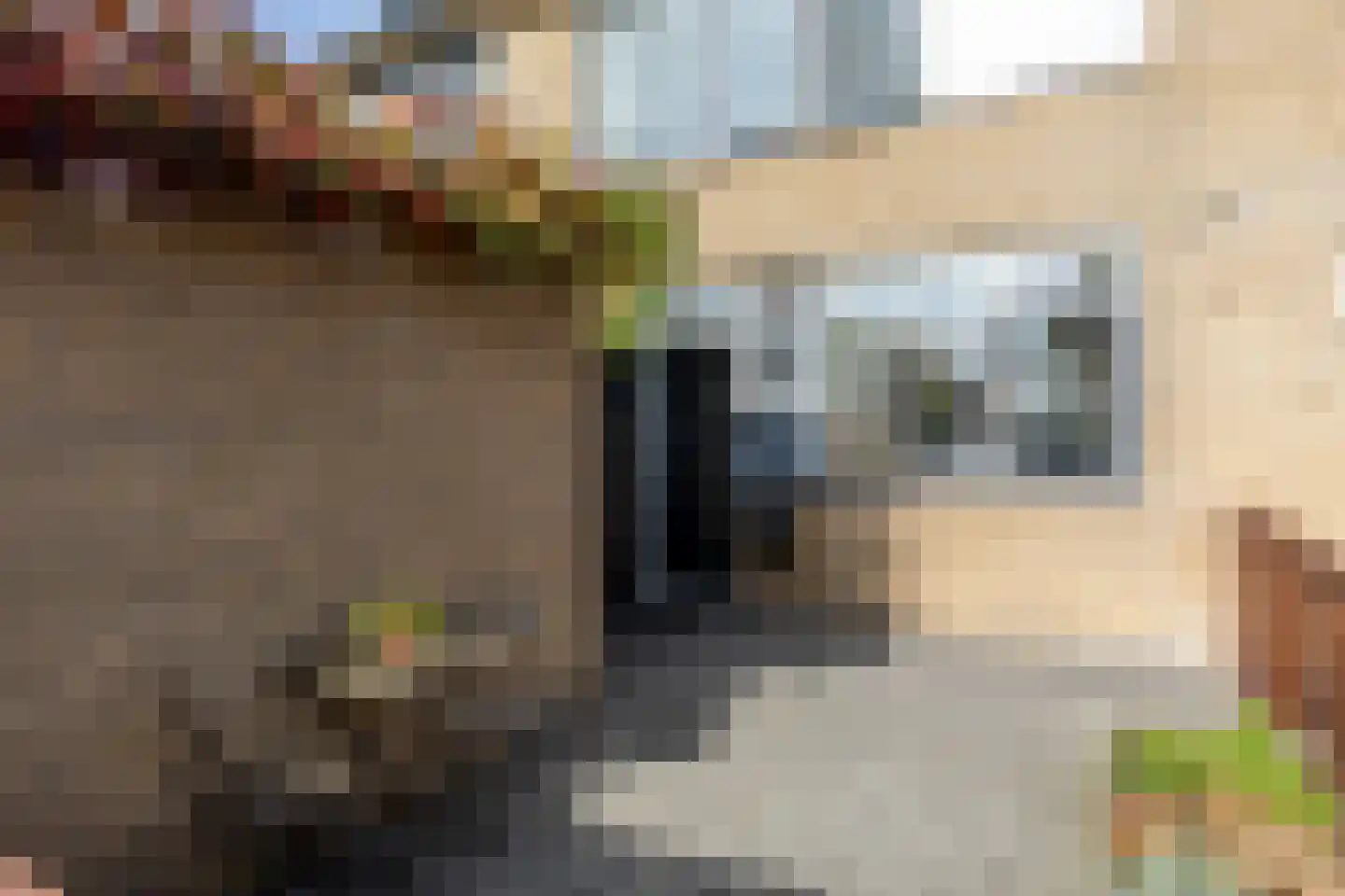 Donjonweg 56 Oostvoorne thumbnail 8
