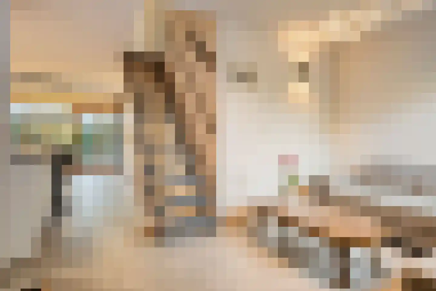 Donk 10 Eindhoven thumbnail 12