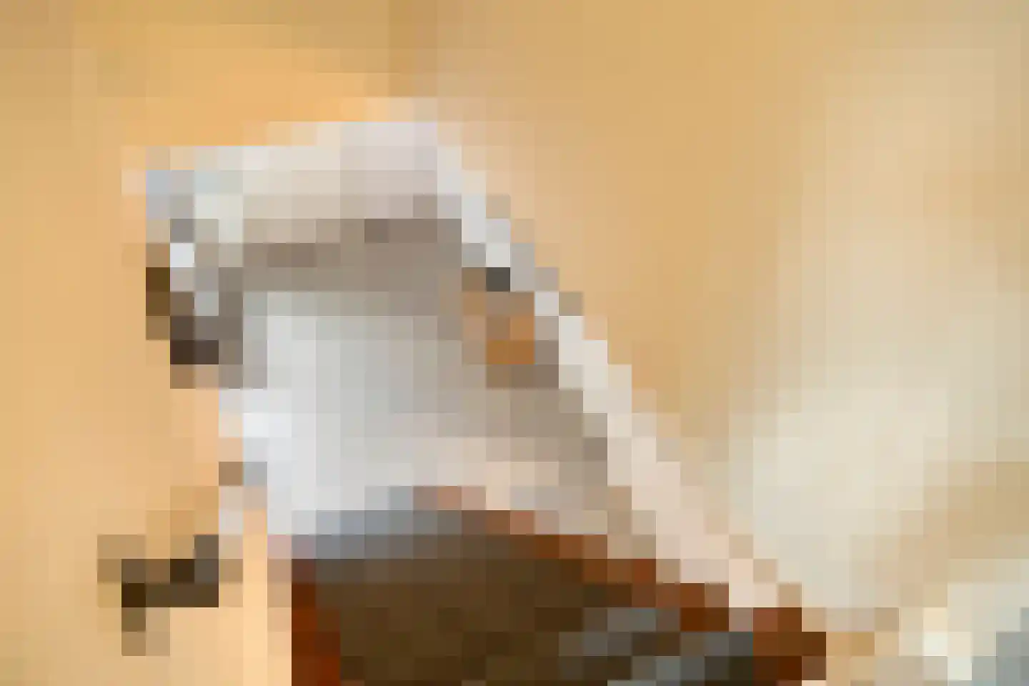Donk 10 Eindhoven thumbnail 22